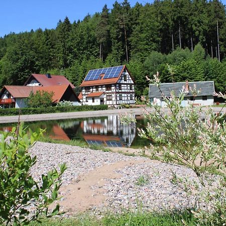 Ferienwohnung Nuessleshof Fambach Экстерьер фото